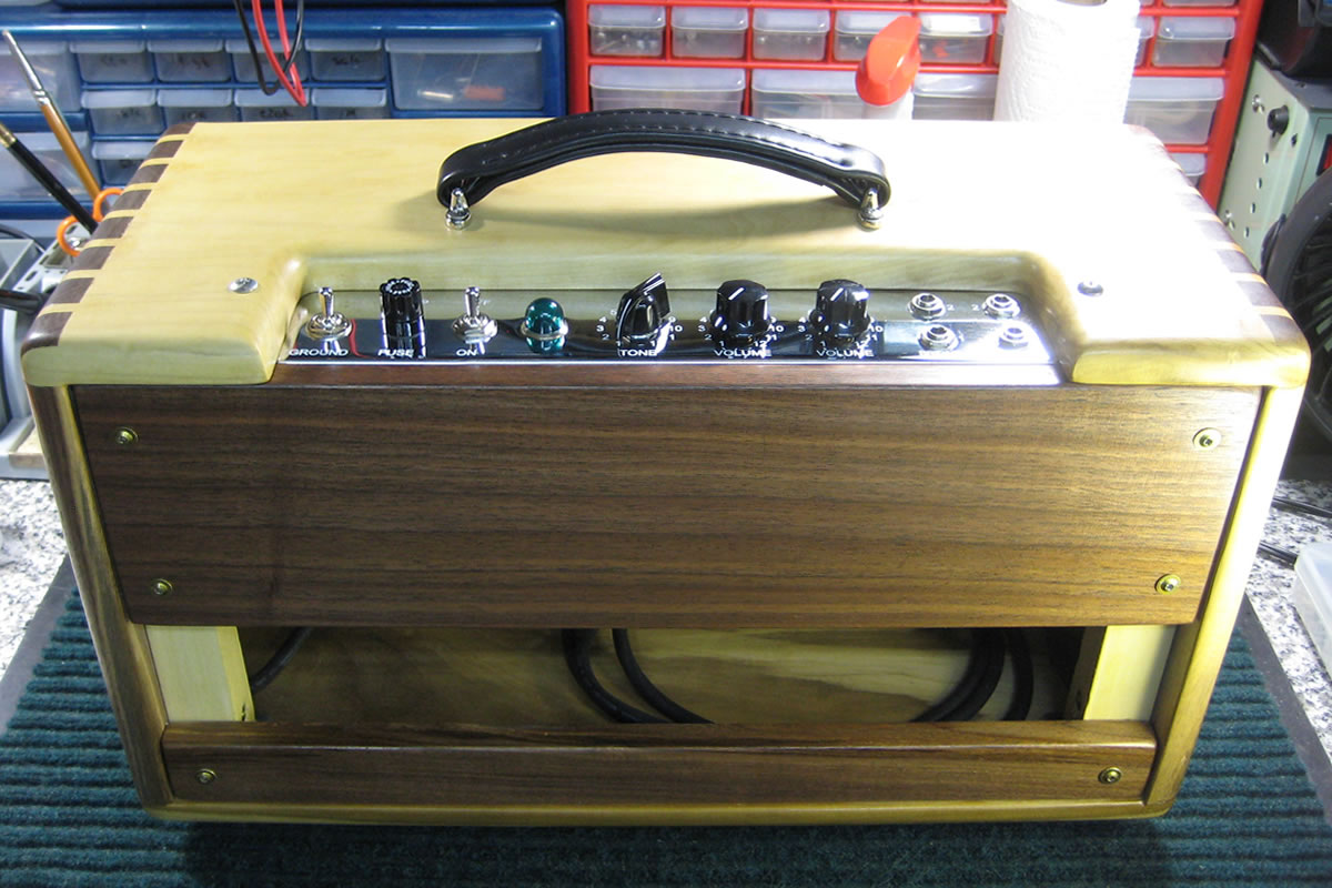 5E3 Head Amplifier Cabinet Rear